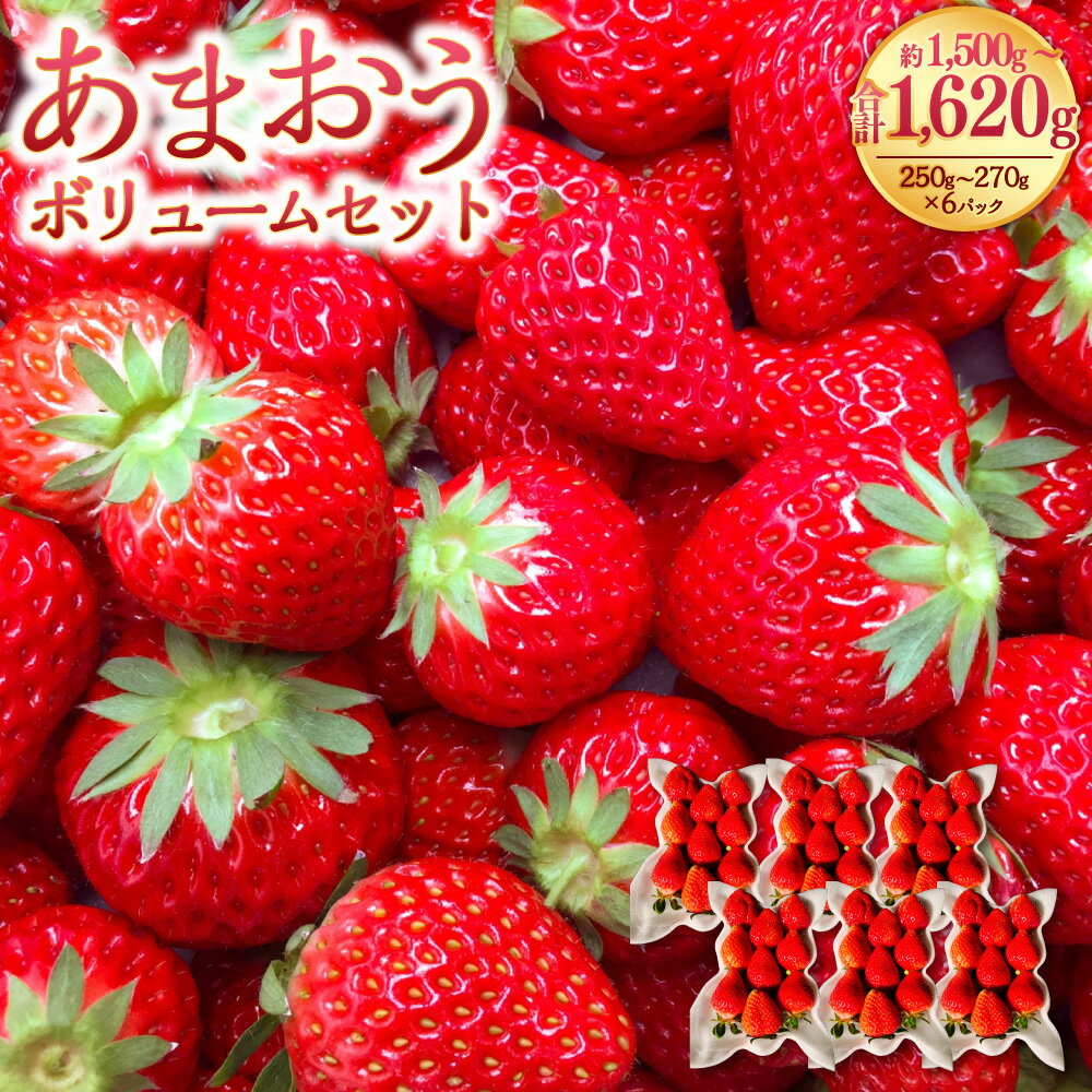 【ふるさと納税】あまおうボリュームセット 約250-270g×6パック 合計約1500-1620g あまおう いちご イチゴ 苺 ストロベリー ベリー フルーツ 果物 旬 冷蔵 福岡県 岡垣町 送料無料 【2026年2月上旬～4月上旬発送予定】