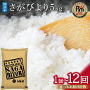 【ふるさと納税】【11月から順次発送】令和6年産【無洗米】さがびより5kg《マイスターセレクト》＜回数が選べる／1回・3回・6回・12回 ＞【 米 白米 無洗米 さがびより 特A 定期便 5kg 15kg 30kg 60kg 】