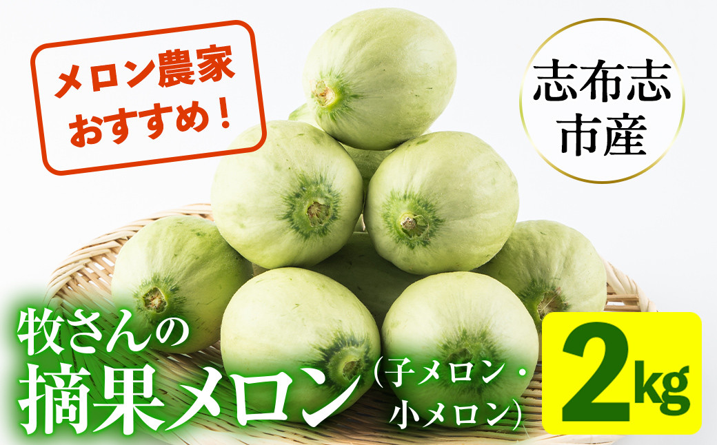 
            【期間限定・数量限定】鹿児島県志布志産 摘果メロン(子メロン・小メロン) 2kg a0-330-10
          