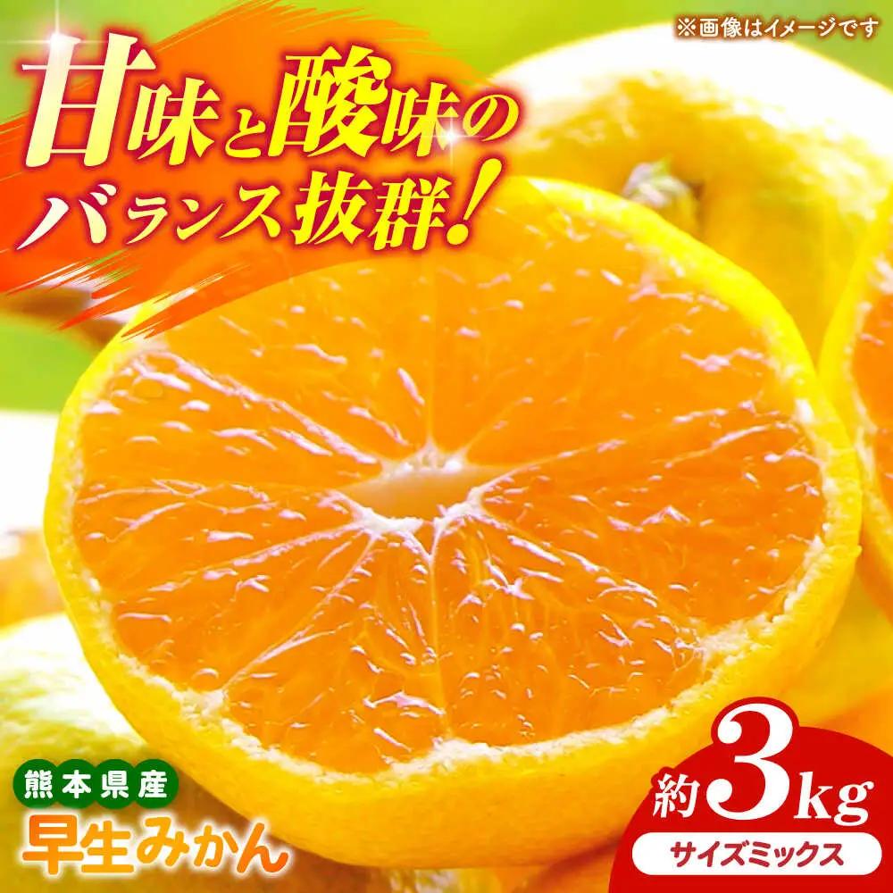 【先行予約】 早生みかん 2S-2L 約3kg みかん 蜜柑 柑橘 フルーツ 果物 【日本フルーツ株式会社】[ZFJ056]