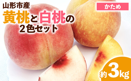 山形市産 黄桃と白桃の2色セット 秀 3kg(硬め） 【令和8年産先行予約】FS23-848 くだもの 果物 フルーツ 山形 山形県 山形市 2026年産