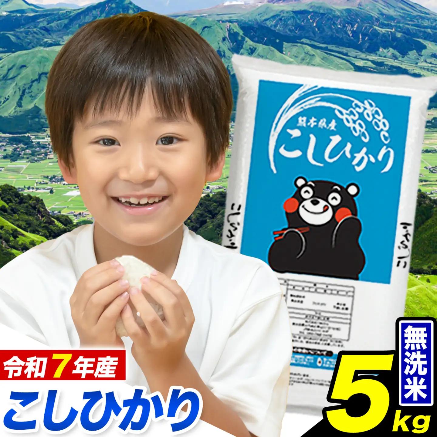 【無洗米】令和7年産 こしひかり5kg 無洗