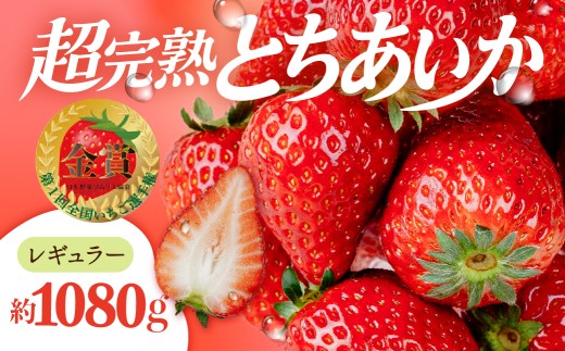いちご 「茂木完熟いちご」　いちご選手権金賞 とちあいか レギュラーサイズ 約270g × 4パック 合計 約1080g 【1月以降発送】| いちご イチゴ 苺 ストロベリー とちあいか 完熟 甘い あまい  第１回いちご選手権金賞 果物 フルーツ くだもの 旬 産地直送 栃木県産 美土里農園 栃木県 茂木町