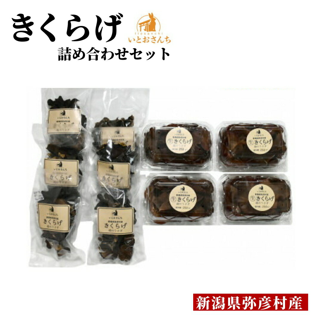 【ふるさと納税】国産 きくらげ 越のうさぎ 詰め合わせ セット ( 生きくらげ 250g×4 ・ 乾燥きくらげ 25g×6 ) | 栽培期間中農薬不使用 手のひらサイズ 大きい 肉厚 木耳 キクラゲ プリプリ食感 きのこ 産地直送 お取り寄せ グルメ 送料無料 新潟県 弥彦村 いとおさんち