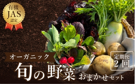 定期便 2回 オーガニックおまかせ野菜セット 野菜野菜野菜野菜 定期便