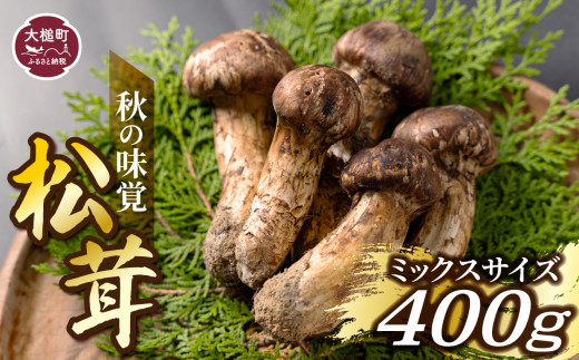 《先行予約》【令和8年10月より発送】秋の味覚！松茸ミックスサイズ 400g （MJ）国産 岩手 岩手県 土瓶蒸し 松茸ごはん マツタケ まつたけ