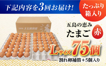 【3回定期便】【箱入り】五島の恵みたまご Lサイズ 75個入 / 卵 赤玉子五島市 / 五島列島大石養鶏場[PFQ017]  玉子 タマゴ 鶏卵 希少 五島列島