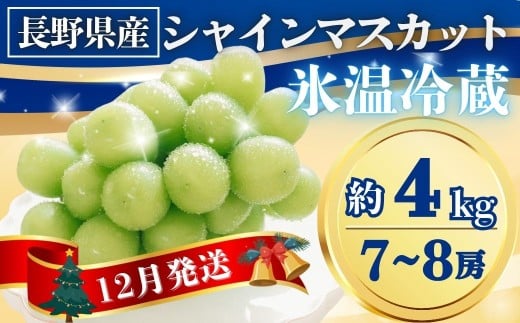 【2025年先行予約】氷温貯蔵シャインマスカット 約4kg(7~8房)｜果物 フルーツ 白ぶどう 葡萄 ブドウ 種無し 種なし 皮ごと 千曲市 長野県 信州