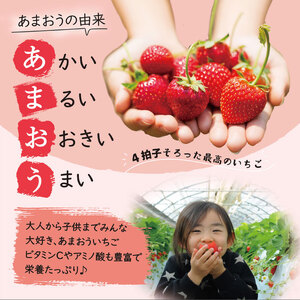 【全2回定期便】【先行予約・2024年1月中旬より順次発送】あまおう いちご 1,080g ( 約 270g × 4パック ) 糸島市 / 株式会社HSP-テクノ グランデ 等級 福岡県産[AZL00