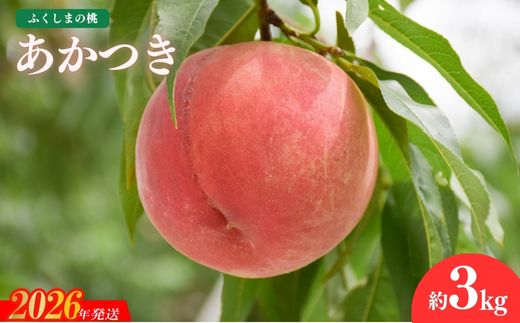 No.1818もも「あかつき」約3kg【2026年発送】