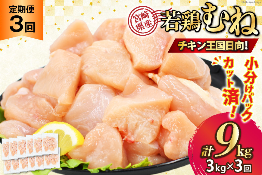 
            鶏肉 3回 定期便 むね 宮崎県産 若鶏 ムネ肉 250g ×12袋 計 3kg×3回 [九州児湯フーズ宮崎支店 宮崎県 日向市 452061296] 小分け 冷凍 むね肉 国産
          