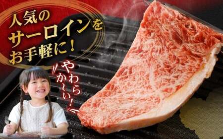 【訳あり】 【3ヶ月定期便】 牛サーロインステーキ（牛脂注入加工） 1回あたり計600g（120g×5枚） ワケあり 訳アリ 牛肉 サーロイン ステーキ お肉 肉 冷凍