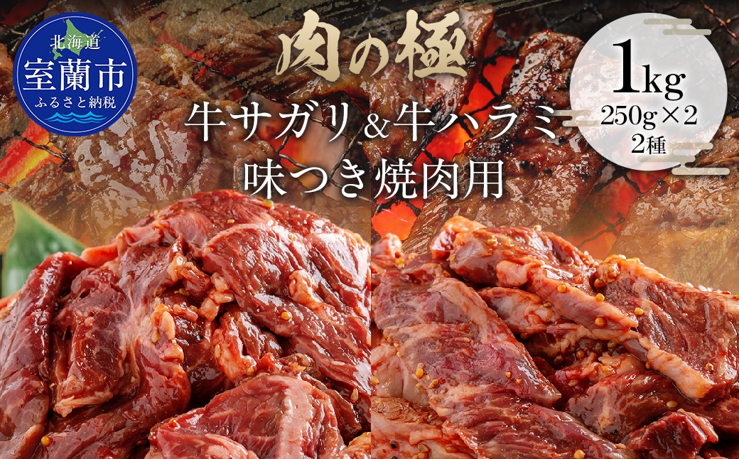 
            牛サガリ味付き焼き肉用と牛ハラミ味付焼き肉用セット 1kg（各250g×2） 【ふるさと納税 人気 おすすめ ランキング 肉 牛肉 牛ハラミ 牛 ハラミ 牛サガリ にく ニク 味付き 焼肉 バーベキュー BBQ 北海道 室蘭市 送料無料】 MROBM066
          