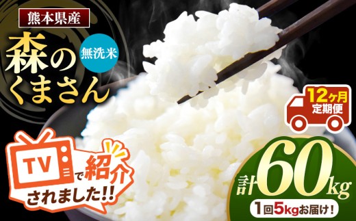 【定期便12回】熊本県産 森のくまさん 無洗米 選べる 内容量 5kg | お米 無洗米 お米 5キロ 60キロ お米 送料無料 お米 熊本 くまもと お米  熊本県  国産 KOKUSAN 国産米 熊本県 玉名市