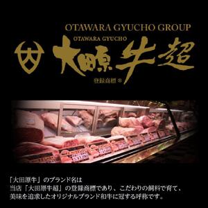 大田原牛 100％ サイコロビーフシチュー 3パックセット | レトルト シチュー 和牛 牛肉 ビーフ 高級