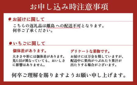 【先行予約】＜いちご3か月定期便＞栃木県産とちおとめ320g×2パック 3Lサイズ 3回｜栃木県 宇都宮市 いちご 苺 とちおとめ イチゴ フルーツ 果物 新鮮 平積み 甘い 糖度 旬 産地直送 20