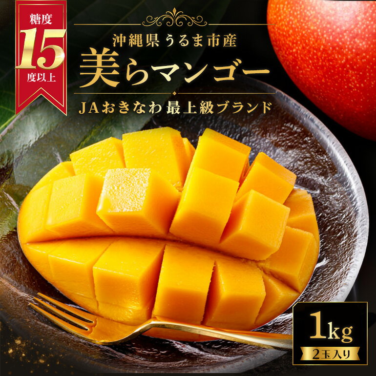 【ふるさと納税】 沖縄県 うるま市産 完熟 美らマンゴー 1kg 【2026年発送】 先行予約 数量限定 マンゴー くだもの フルーツ 果物 希少 最上級ブランド ジューシー 甘い とろける 完熟 沖縄 うるま市
