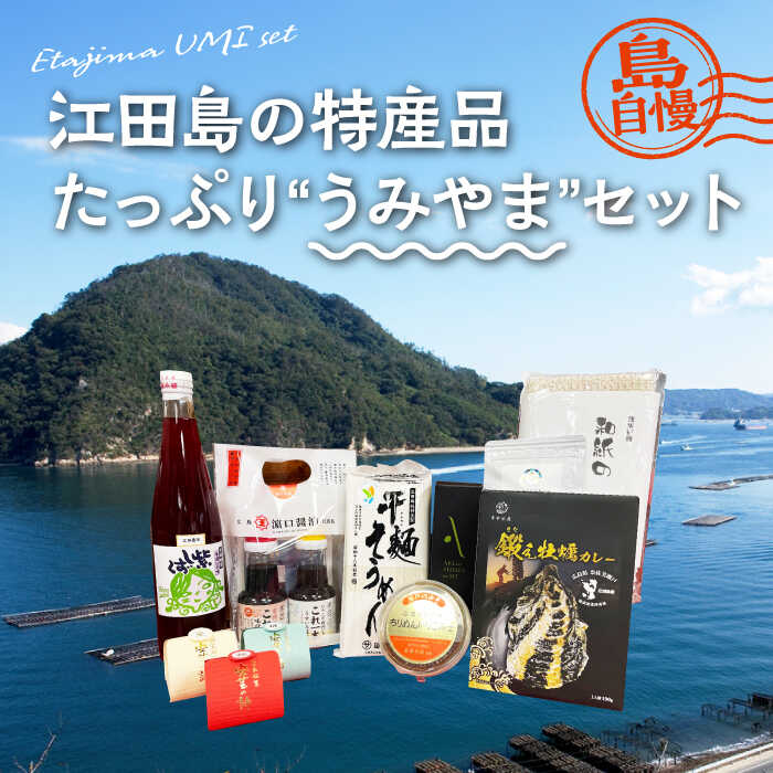 【ふるさと納税】島で自慢の特産品をセットでお届け！ 江田島の恵みたっぷり うみやま セット ドレッシング はちみつ オイル 人気 簡単 レシピ ギフト 広島県産 江田島市/江田島市観光協会[XAI005] 瀬戸内 牡蠣 かき カキ オリーブオイル うどん 麺 味噌 醤油 調味料