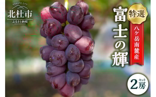 【2025年先行予約】八ケ岳南麓産「特選 富士の輝」  ブラックシャインマスカット 2025年 先行予約 2房 セット 期間限定 数量限定 特選 富士の輝 冷蔵 新品種 葡萄 ぶどう ブドウ フルーツ 果物 大粒 濃厚 コク 甘い 希少種 山梨県 北杜市 八ヶ岳南麓