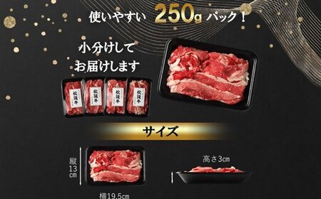 松阪牛 プレミアム切り落とし 1kg ( 250g×4P ) ( 牛肉 和牛 国産牛 松阪牛 切り落とし 松阪牛切り落とし 松阪牛 松阪肉 切り落とし 松阪牛切り落とし 切りおとし松阪牛 松阪牛切り落