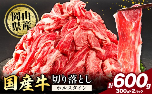 牛肉 肉 国産牛 切り落とし ホルスタイン 大容量 小分け 600g 《30日以内に出荷予定(土日祝除く)》岡山県産 岡山県 笠岡市 お肉 にく カレー 牛丼 牛肉 切り落し 小分け 切落し 牛肉 小分け 牛肉