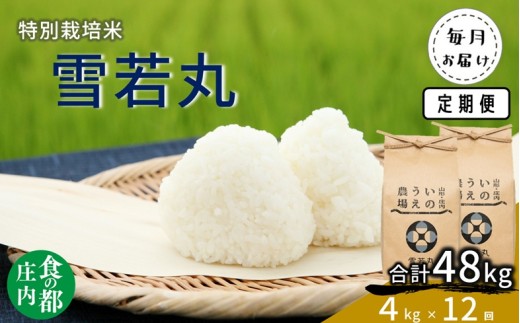 食の都庄内　【定期便12回】井上農場の特別栽培米 雪若丸 4kg×12回