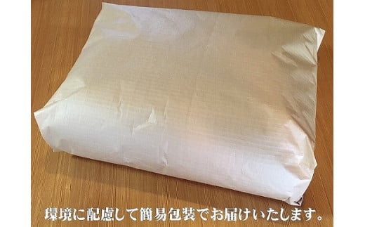 【浅井ふとん店】イス専用座布団『台形ちゃん』/オレンジ