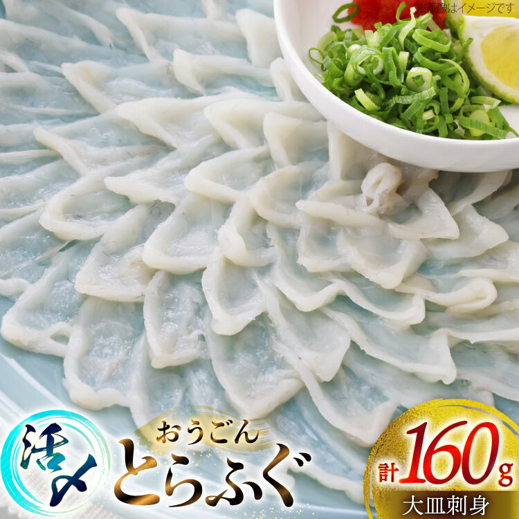 【ふるさと納税】ふぐ 刺身 おうごんとらふぐ 大皿 刺身 80g×2 合計 160g [松永水産 長崎県 平戸市 hr42bgy400080] ふぐ刺し とらふぐ フグ 河豚 てっさ 魚介 さかな お刺身 刺身用 さしみ 冷凍 海鮮 高級魚