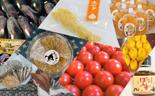 【ふるさと納税】 もっと！ おいしいものセット 野菜 果物 パスタ 海産品 調味料 詰め合わせ セット 1万円 10000円 生パスタ 干物 お菓子 スイーツ 海産物 加工品 ポン酢 味噌 高知県 安田町 TR-07