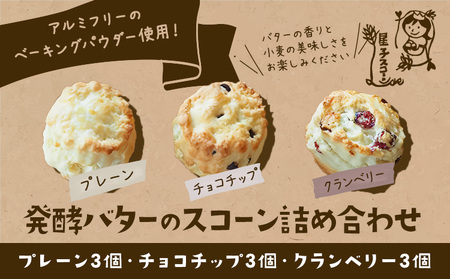星子スコーン 詰め合わせ 3種 9個 プレーン チョコチップ クランベリー《30日以内に出荷予定(土日祝除く)》| スコーン スコーン スコーン