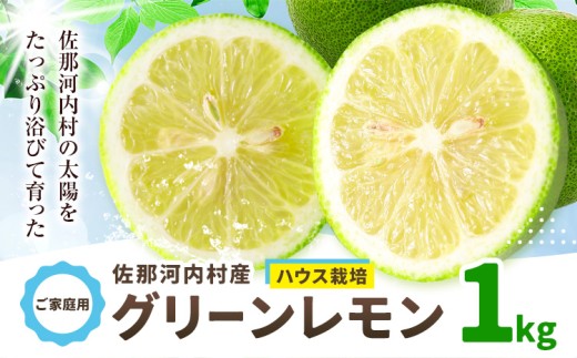 訳あり グリーンレモン 山本農園 《6月上旬-8月中旬頃出荷》 1kg レモン フルーツ 佐那河内 さなごうち ジューシー 柑橘 ご家庭用 サラダ お酒 ジュース