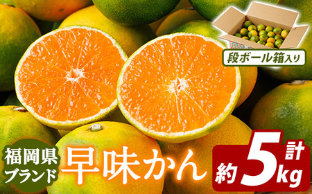 ＜先行予約受付中！2026年9月中旬以降順次発送予定＞福岡県ブランドみかん 早味かん(計約5kg) みかん ミカン オレンジ 蜜柑 はやみかん 温州 極早生 ブランド 柑橘 果物 くだもの フルーツ 生 国産 冷蔵 【農産物直売所ほたるの里】as52-035