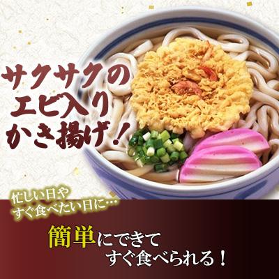 ふるさと納税 豊前市 フジギク天ぷらうどん　242g(12食入り) |  | 01