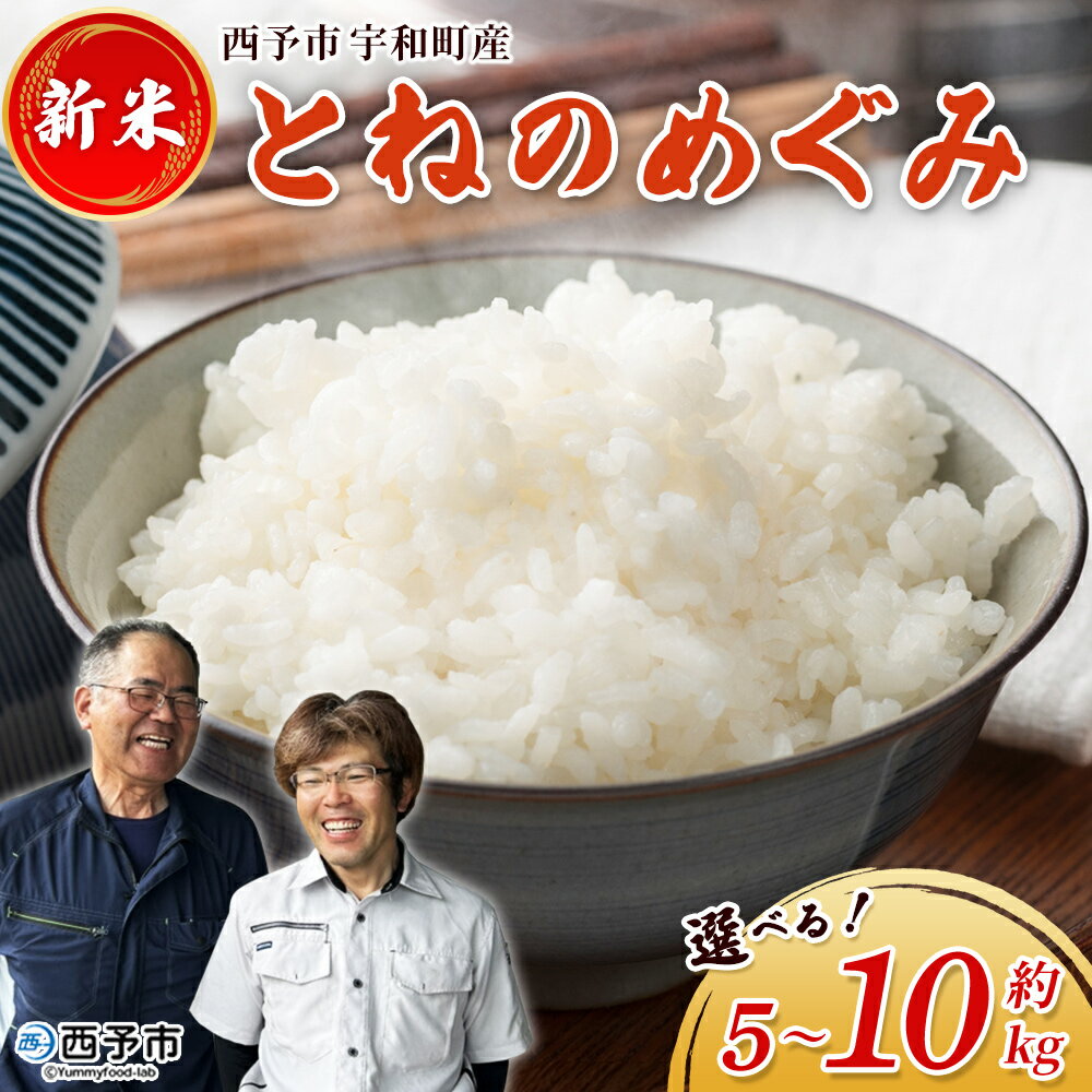 【ふるさと納税】新米＜令和7年産 とねのめぐみ 約5kg/約10kg 西予市宇和町産＞ 選べる 内容量 5キロ 10キロ 白米 精米 お米 コメ こめ 宇和米 新米 うわまい ご飯 ごはん ライス 送料無料 産地直送 加茂ファーム 愛媛県 西予市【常温】『2025年11月末までに順次発送予定』