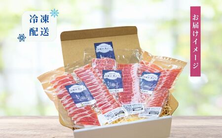 【ハモンスノー】 みゆきポーク 生ハムスライス 120g (40g×3袋)（Av-001） 長野県 飯山市 おすすめ ランキング おいしい 高評価 大人気 ギフト 産地直送 生ハム ハム 肉 豚