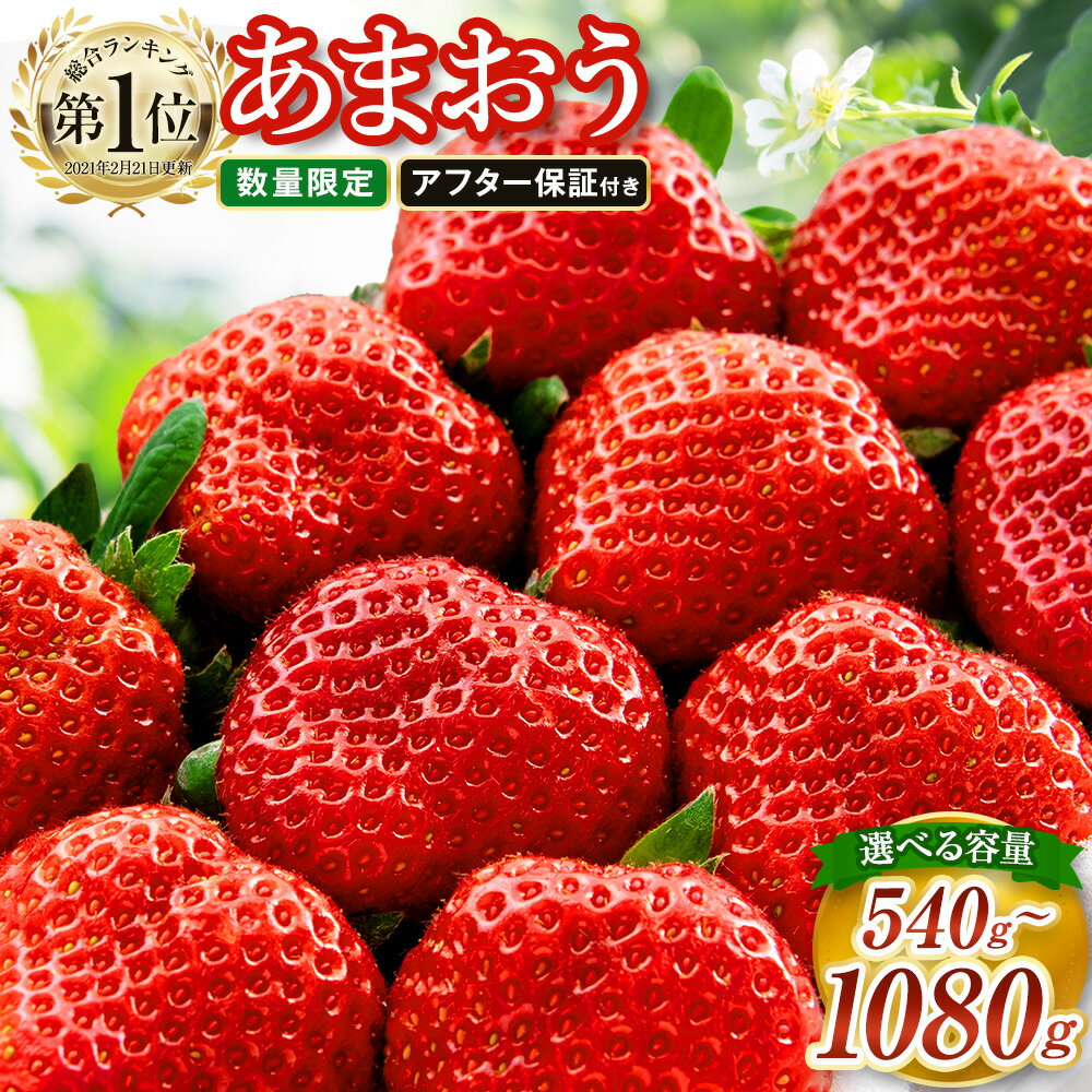 【2024年2月上旬より順次発送】先行予約受付中! 数量限定 福岡県産 あまおう 合計1080g 270g×4パック いちご 苺 イチゴ フルーツ 果物 春 旬 福岡県産 九州 国産 送料無料