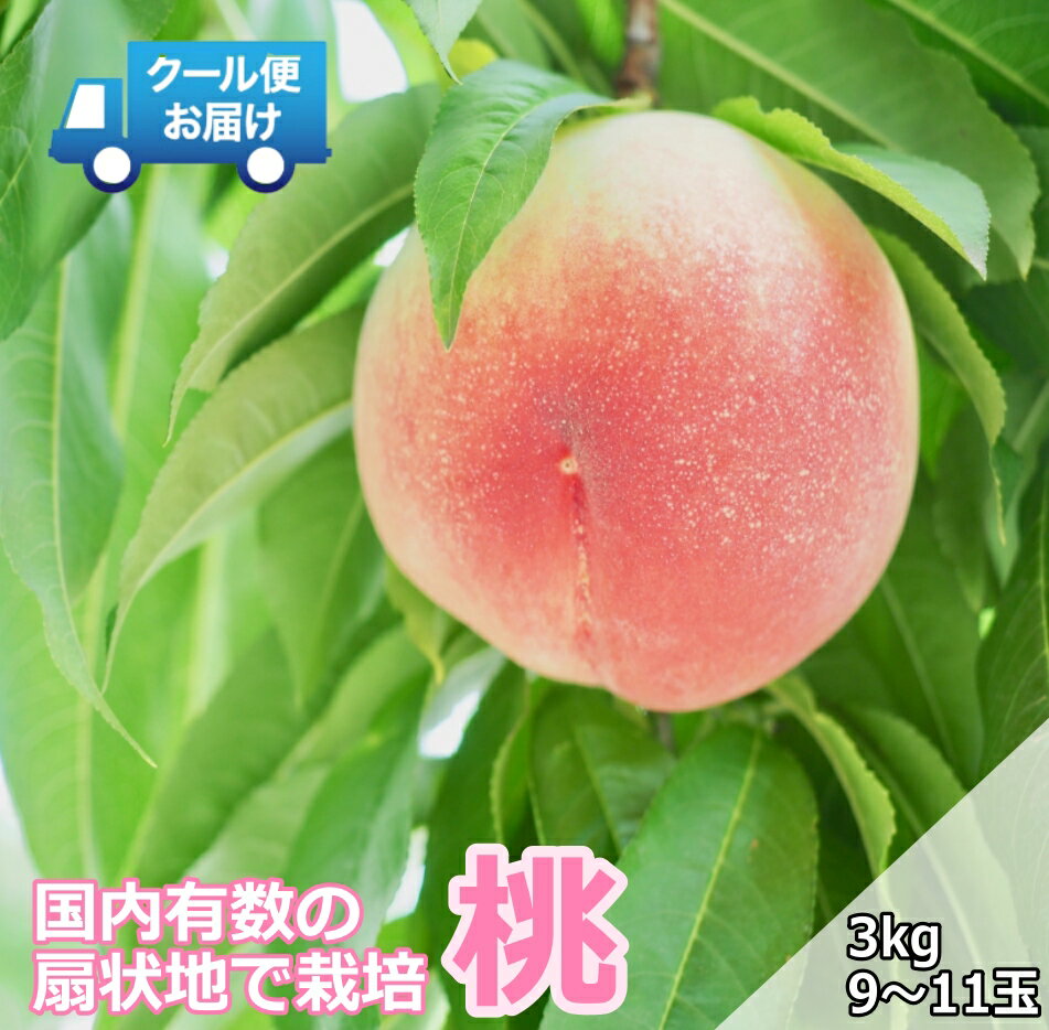 【ふるさと納税】クール便　収穫当日に発送　桃　3kg(9～11玉) ふるさと納税 おすすめ 山梨県 南アルプス市 送料無料 ALPDG013