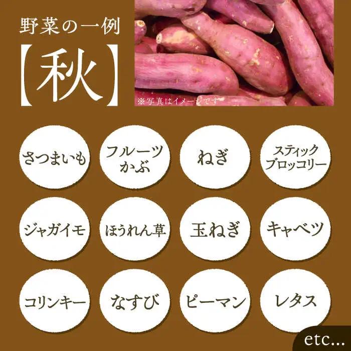 【全3回定期便】農家が選ぶ！ 旬の新鮮野菜セット[VBE008]産直 野菜 やさい 詰め合わせ