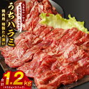 【ふるさと納税】【丸善特製ダレ】希少部位 牛肉 うちハラミ 1.2kg（400g×3）【氷温熟成×極味付け】 氷温熟成牛 牛肉 熟成肉 作り方 ふるさと納税オリジナル 限定 大阪府 泉佐野市 送料無料 肉の泉佐野