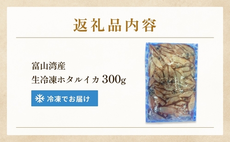 生冷凍ホタルイカ（凍眠） 300g 富山県 氷見市 ほたるいか しゃぶしゃぶ 冷凍