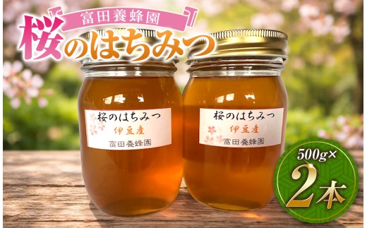 富田養蜂園 桜のはちみつ（500g×2本）