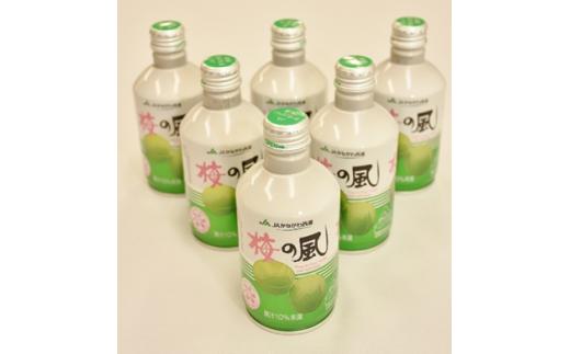 ＪＡかながわ西湘　梅の風（清涼飲料水）　２９０ｍｌ×２４缶