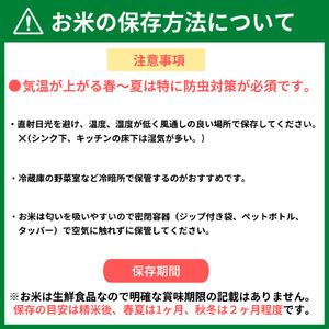 【令和７年産】兵庫県丹波篠山産 〈12ヶ月定期便〉コシヒカリ10kg（10kg×12回） DS100