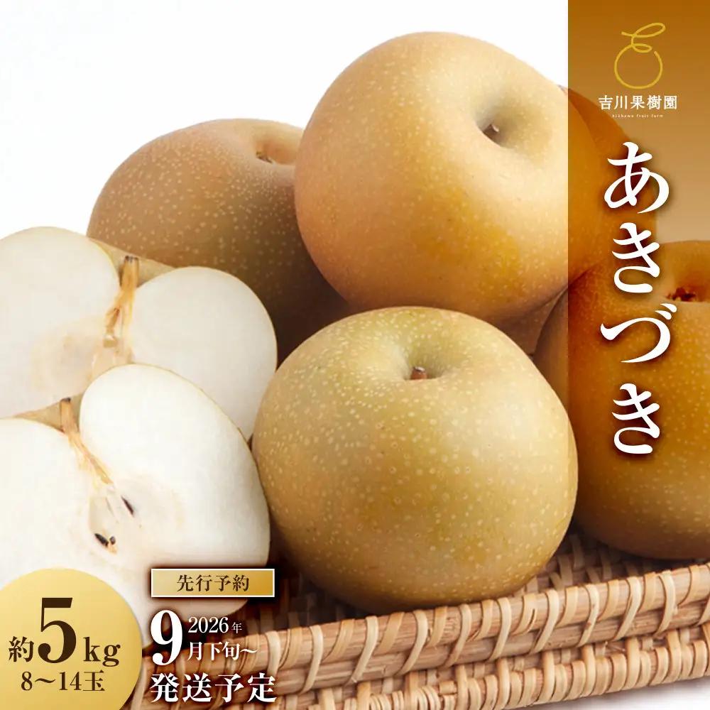 【2026年分先行予約】 梨 あきづき 約５kg（8～14玉）9月下旬～順次発送【吉川果樹園】 ｜ 梨