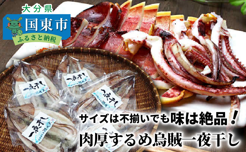 
サイズは不揃いでも味は絶品!肉厚するめ烏賊一夜干し_1511R
