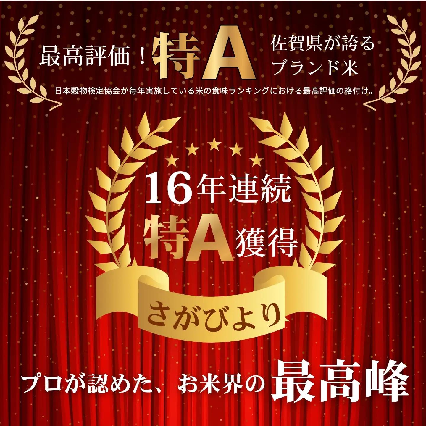 【先行予約】【新米】令和8年 佐賀県産「さがびより」10kg ：B160-056
