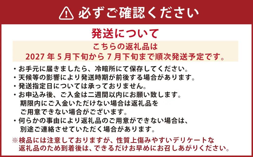 ＜ R8年熊本地震復興支援 ＞小玉すいか 秀品2玉 （約2～3kg） 西瓜 スイカ くだもの 果物 フルーツ 国産 九州 熊本県 熊本市 【2027年5月下旬～7月下旬迄順次発送予定】