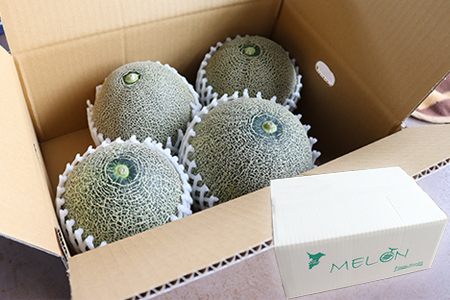 タカミメロン4～6玉（5～7kg）【6月中旬～7月中旬頃に発送】　本田農園