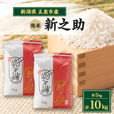 ふるさと納税 五泉市 【先行受付】令和8年産新潟県五泉市産　新之助　10kg(5kg×2袋)　精米