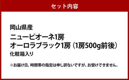  ぶどう 2024年 先行予約 ニュー ピオーネ 1房と オーロラブラック 1房（1房500g前後） 産地直送 ブドウ 葡萄  岡山県産 国産 フルーツ 果物 ギフト たけまさぶどう園
